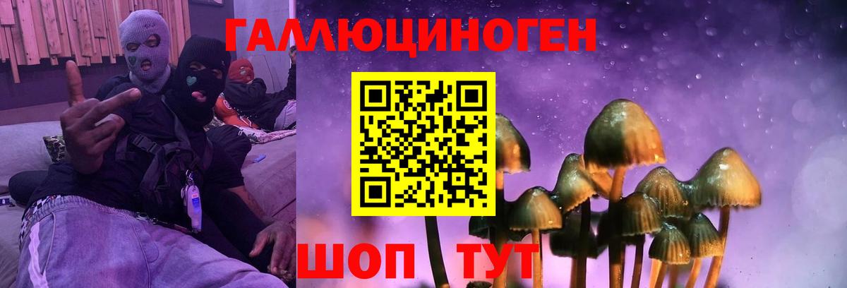 Сорочинск  Галлюциногенные грибы мицелий  Вход с VPN 